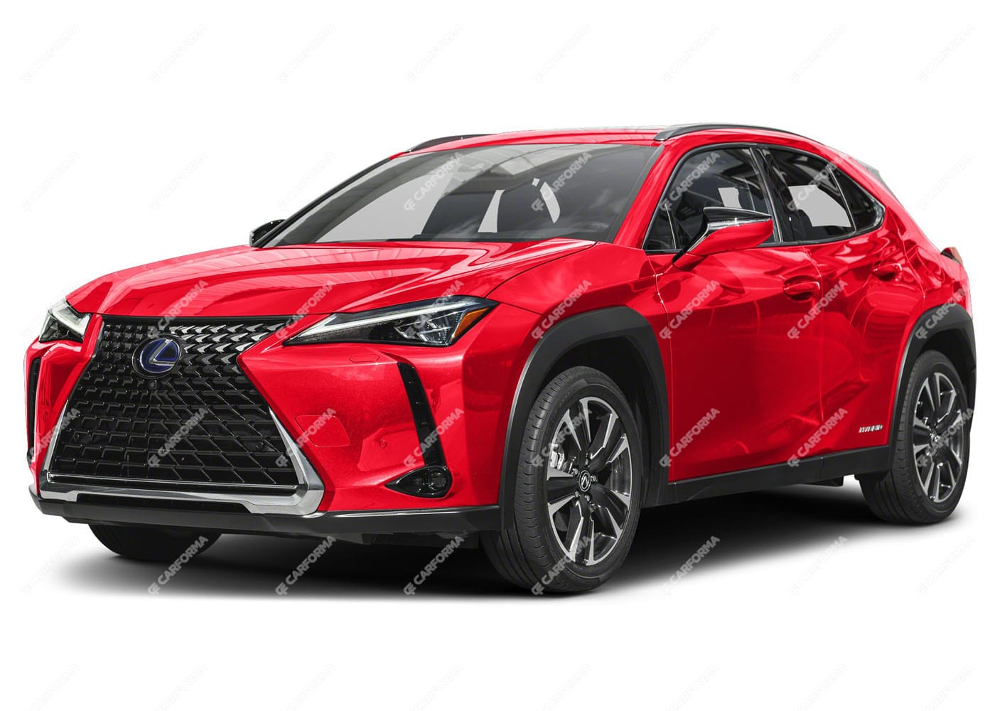 Ворсовые коврики на Lexus UX 2018 - 2025