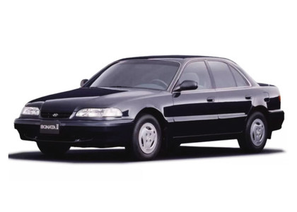 Ворсовые коврики на Hyundai Sonata 3 (Y3) 1993 - 1998 в Таганроге