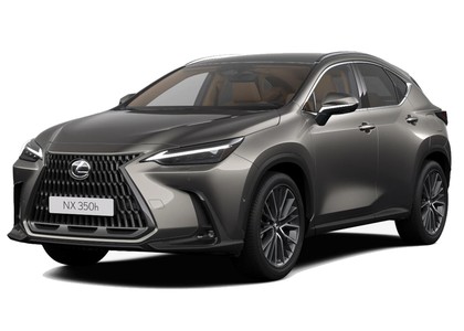 Ворсовые коврики на Lexus NX II 2021 - 2025 в Таганроге