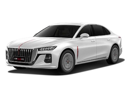 Ворсовые коврики на Hongqi H5 II 2022 - 2025 в Таганроге