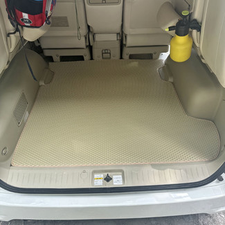EVA коврики на Nissan Elgrand (E51) 2002 - 2010 в Таганроге