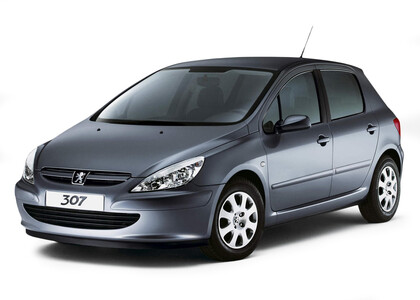 Ворсовые коврики на Peugeot 307 2001 - 2008 в Таганроге