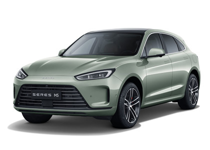 EVA коврики на Seres M5 2021 - 2025 в Таганроге