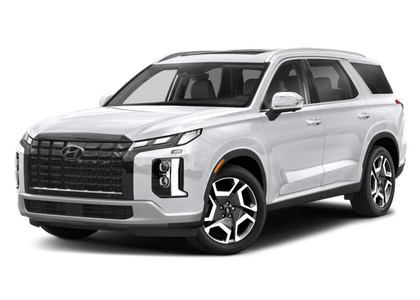 Ворсовые коврики на Hyundai Palisade 2018 - 2025 в Таганроге