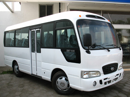Ворсовые коврики на Hyundai County 2006 - 2016 в Таганроге