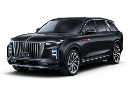 Ворсовые коврики на Hongqi E-HS9 2022 - 2025 в Таганроге