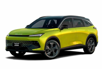 Коврики на Baic X55 2022 - 2025 в Таганроге