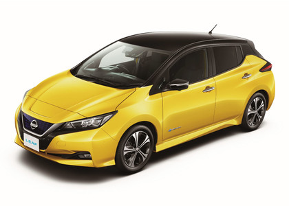 Ворсовые коврики на Nissan Leaf (ZE1) 2017 - 2025 в Таганроге