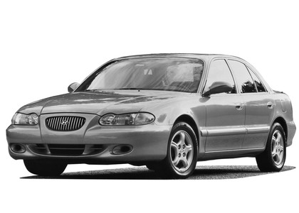 Ворсовые коврики на Hyundai Sonata 3 (Y3) 1993 - 1998 в Таганроге