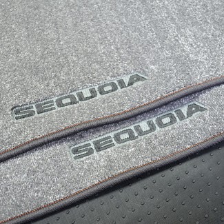 Ворсовые коврики на Toyota Sequoia I 2001 - 2008 в Таганроге