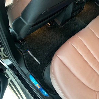 Ворсовые коврики на BMW X5 (G05/G18) 2018 - 2025 в Таганроге