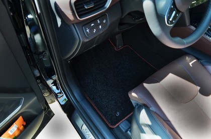 Ворсовые коврики на Hyundai Santa Fe IV 2018 - 2021 в Таганроге